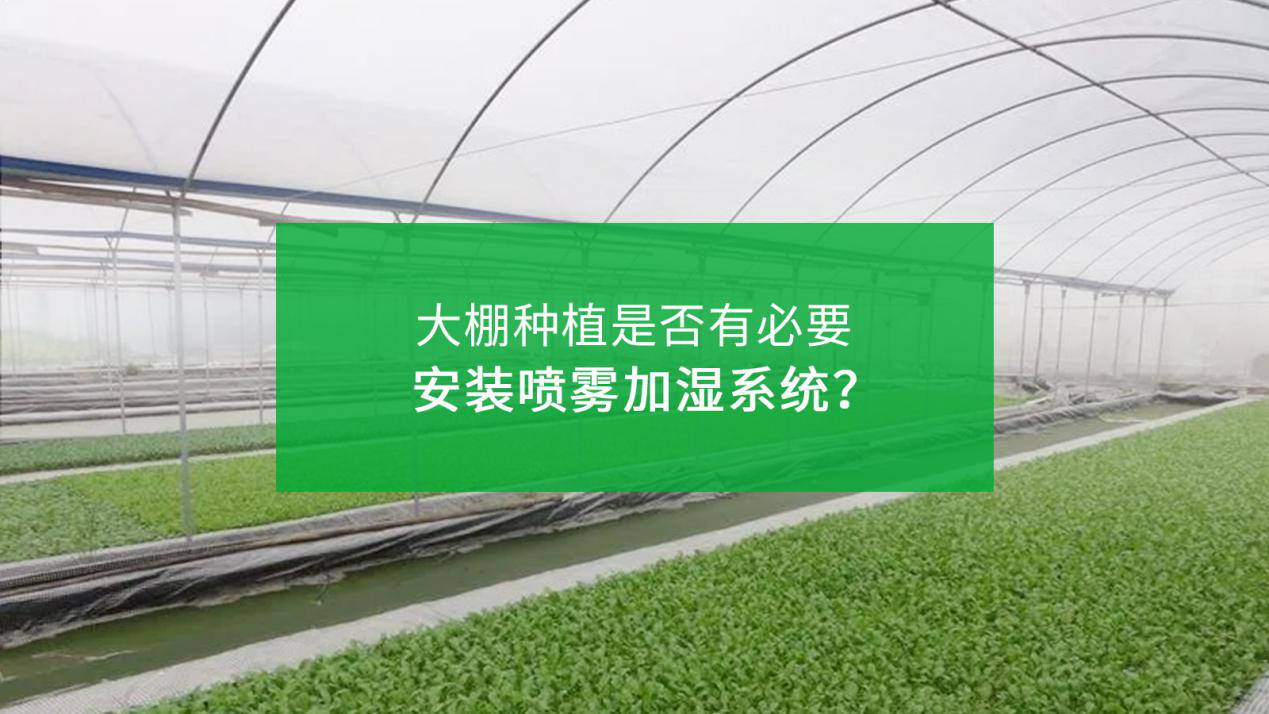 大棚種植是否有必要安裝噴霧加濕系統？