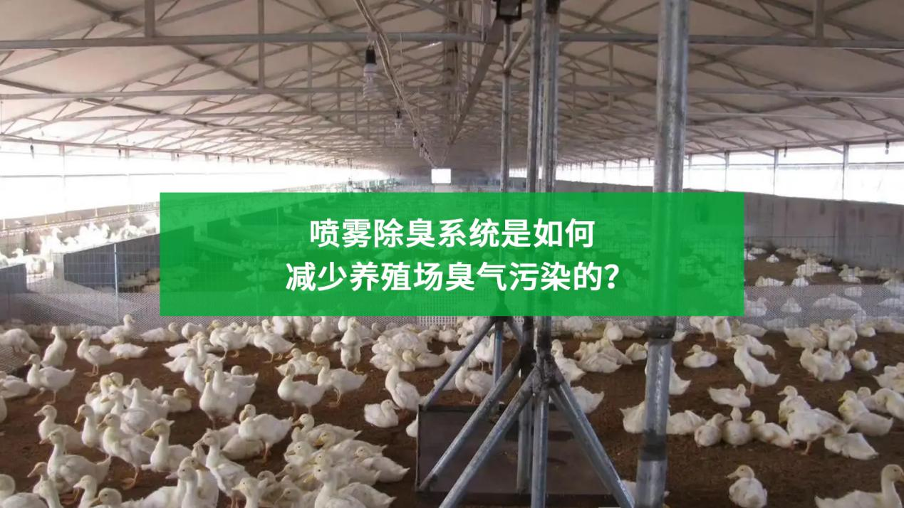 噴霧除臭系統(tǒng)是如何減少養(yǎng)殖場臭氣污染的？